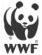 WWF
